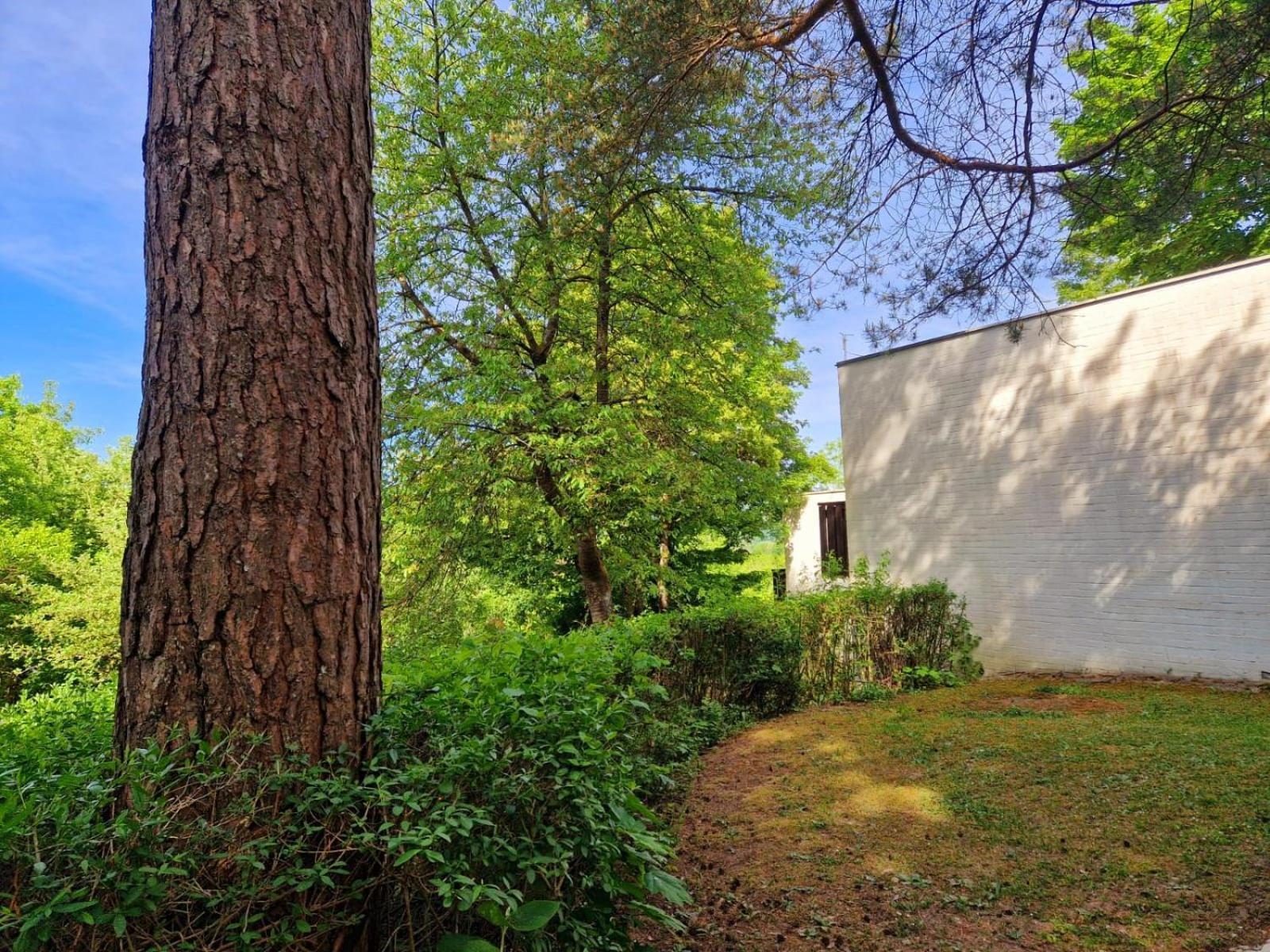 Berg-Bungalows Leinleitertal Heiligenstadt in Oberfranken Exterior foto